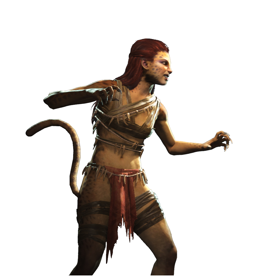 cheetah2