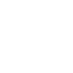 TTVIcon
