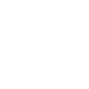 VideoIcon