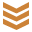 league_ranks_officer