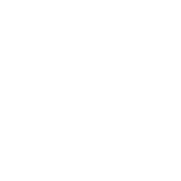 Button_Persistent_poly1