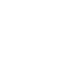 Button_Persistent_poly2