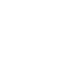 Cheetah_V_01