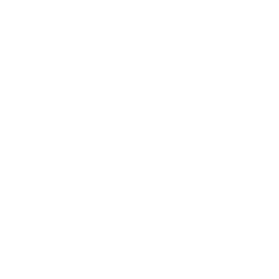 Cheetah_V_02