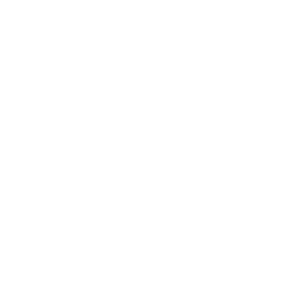 Cheetah_V_03