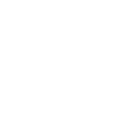 Cheetah_V_Passive