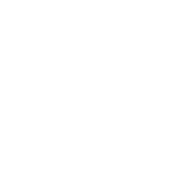 Cheetah_V_Passive_02