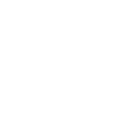 Cheetah_V_Passive_03