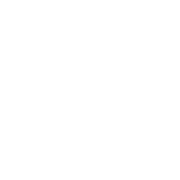 Hawkman_A_Passive_03.png