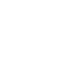 Superman_BR_Passive_03.png