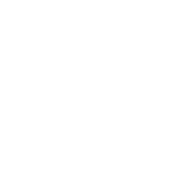 TheFlash_80_Passive_03.png
