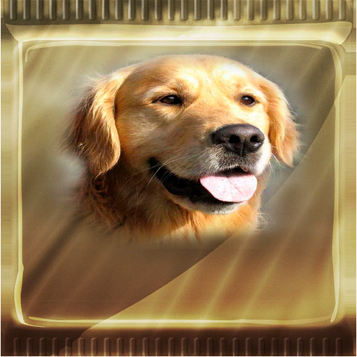 BoosterPack_Starter6