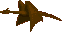 0707