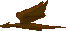 0709