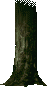 0006