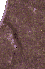 0003