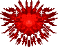 1066