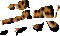 1095
