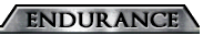 endurance2