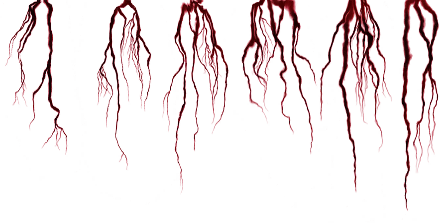 Tendrils_SQV2
