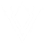 icon_victory